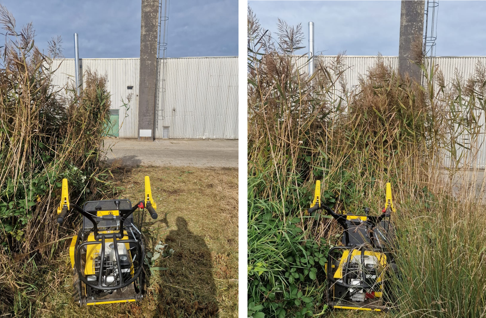 Reinigung im Industriegebiet, vor der Halle den Wildwuchs komplett entfernt